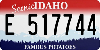ID license plate E517744