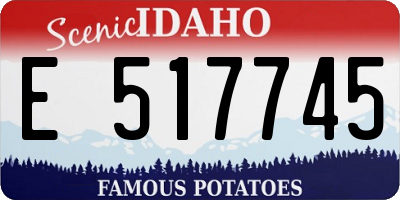 ID license plate E517745