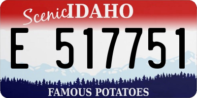 ID license plate E517751