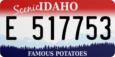 ID license plate E517753