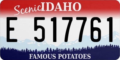 ID license plate E517761