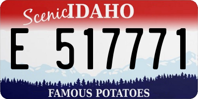 ID license plate E517771