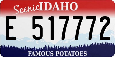 ID license plate E517772