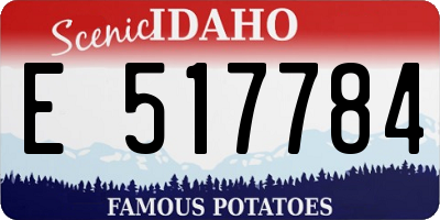 ID license plate E517784