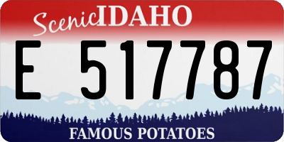 ID license plate E517787