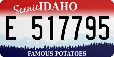 ID license plate E517795