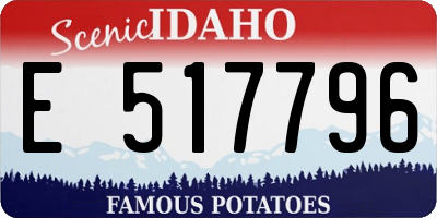 ID license plate E517796