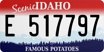 ID license plate E517797