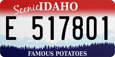 ID license plate E517801