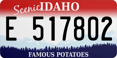 ID license plate E517802