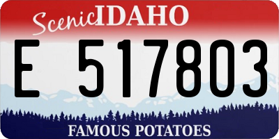 ID license plate E517803