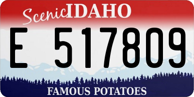 ID license plate E517809