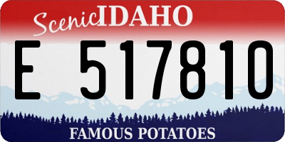 ID license plate E517810