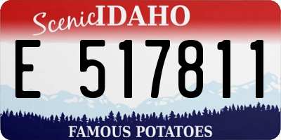 ID license plate E517811