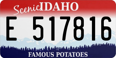 ID license plate E517816