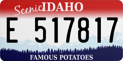 ID license plate E517817