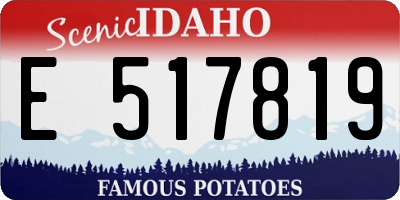 ID license plate E517819