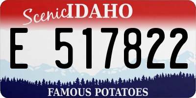 ID license plate E517822
