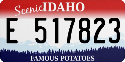 ID license plate E517823