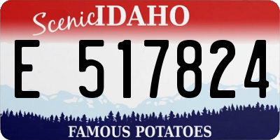 ID license plate E517824