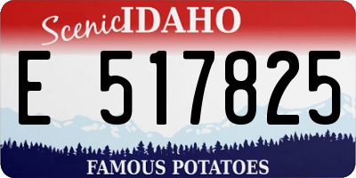 ID license plate E517825