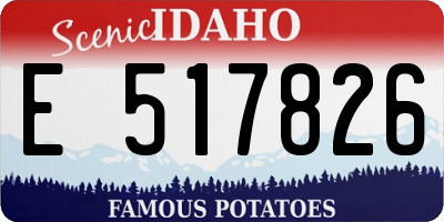 ID license plate E517826