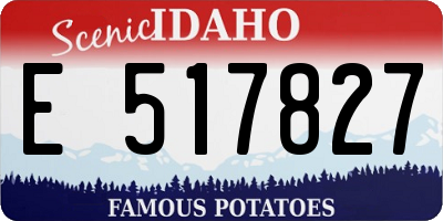 ID license plate E517827