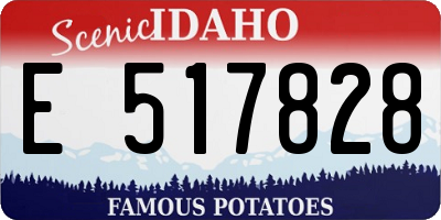 ID license plate E517828