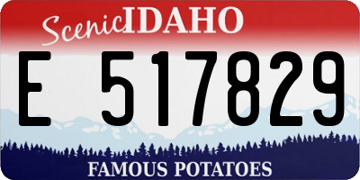 ID license plate E517829