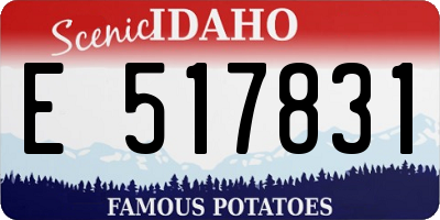ID license plate E517831