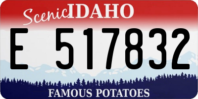 ID license plate E517832