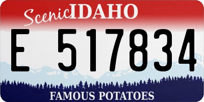 ID license plate E517834