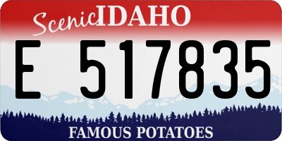 ID license plate E517835