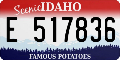 ID license plate E517836