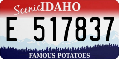ID license plate E517837