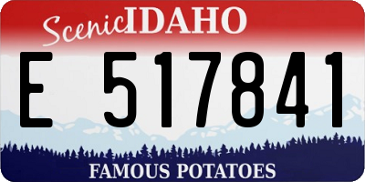 ID license plate E517841