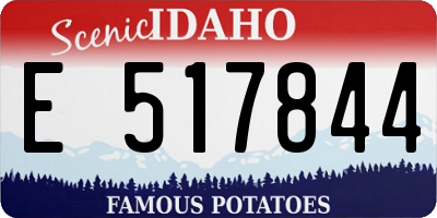 ID license plate E517844