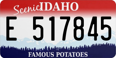 ID license plate E517845