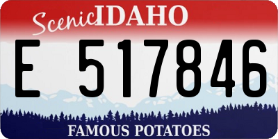 ID license plate E517846