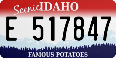ID license plate E517847