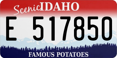 ID license plate E517850