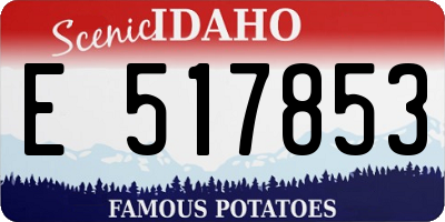 ID license plate E517853