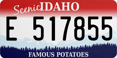 ID license plate E517855