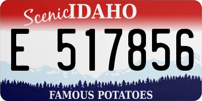 ID license plate E517856