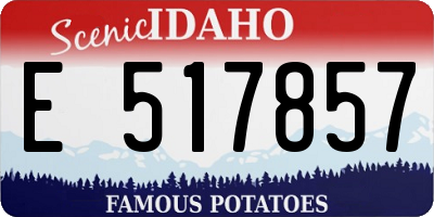 ID license plate E517857