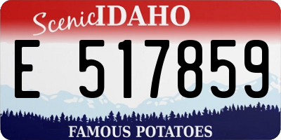 ID license plate E517859