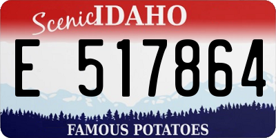 ID license plate E517864