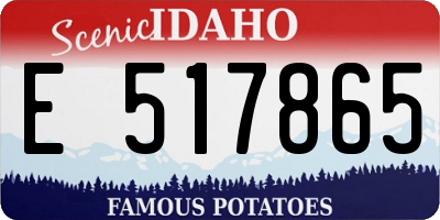 ID license plate E517865
