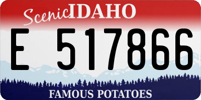ID license plate E517866