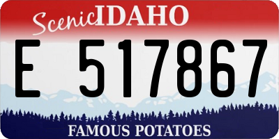 ID license plate E517867